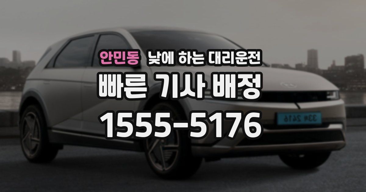 안민동 낮에 하는 대리운전