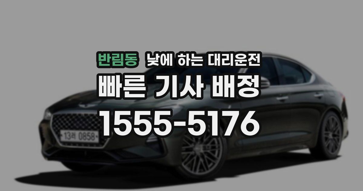 반림동 낮에 하는 대리운전