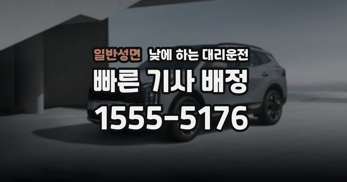 일반성면 낮에 하는 대리운전