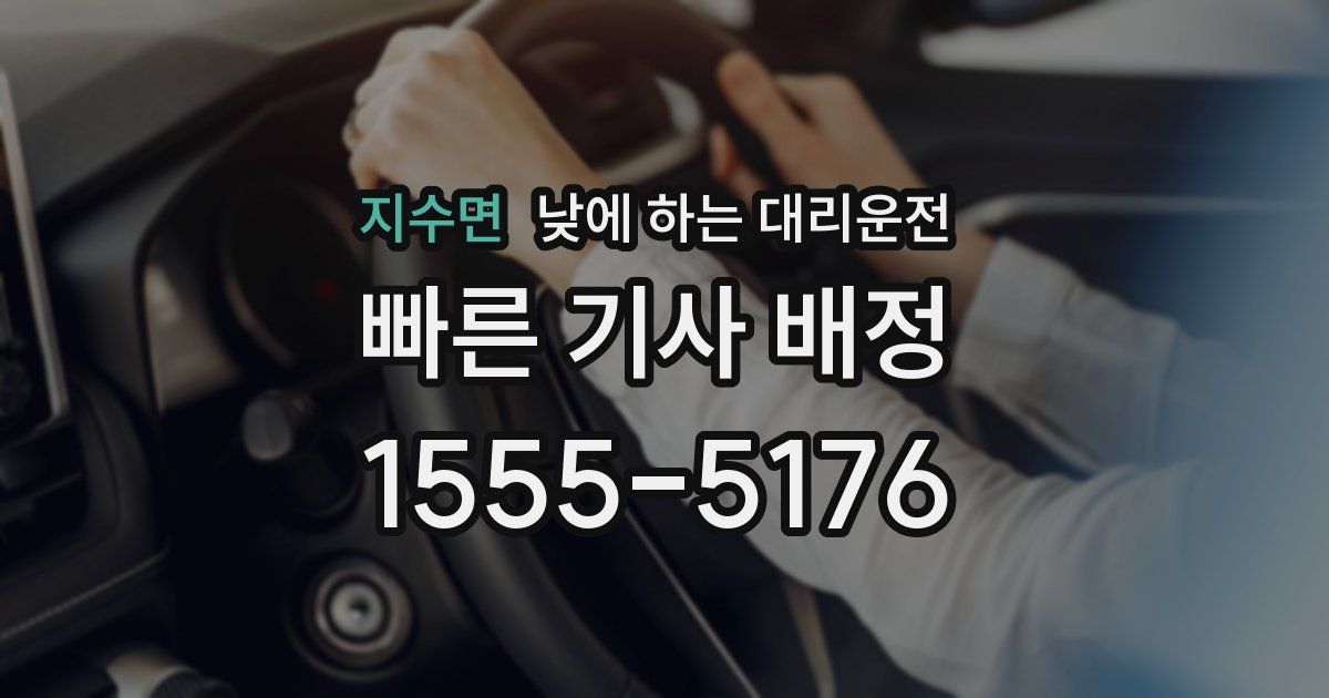 지수면 낮에 하는 대리운전