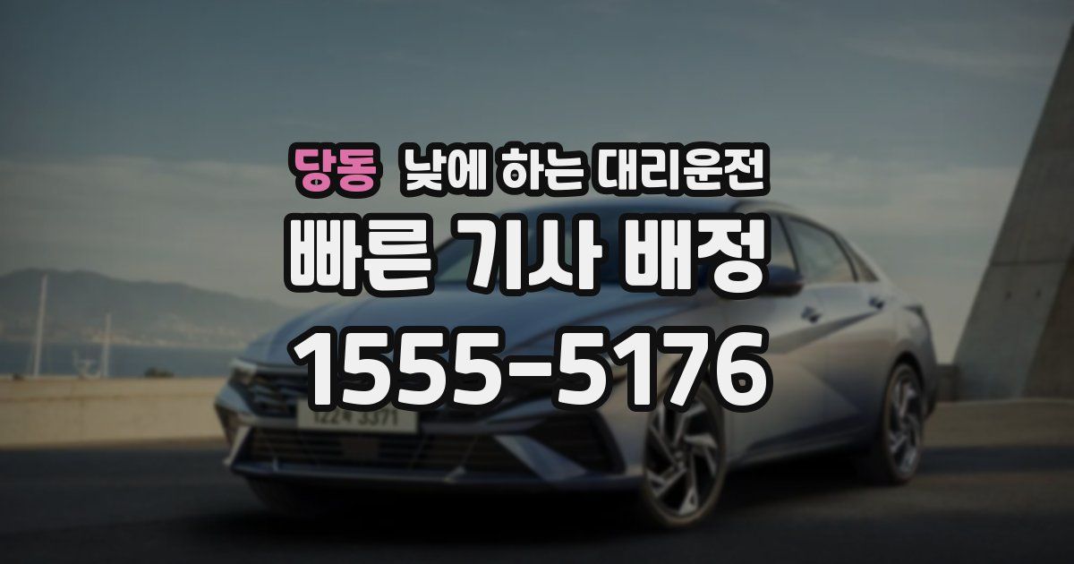 당동 낮에 하는 대리운전