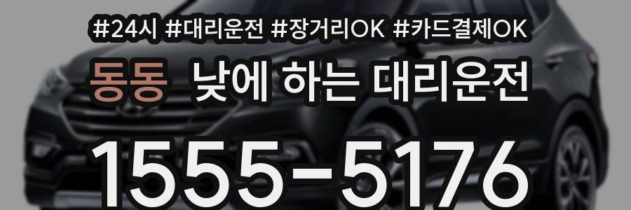 동동 낮에 하는 대리운전