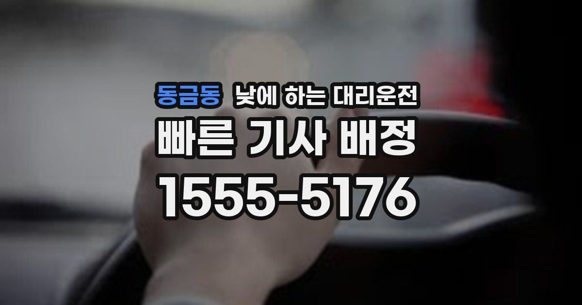 동금동 낮에 하는 대리운전