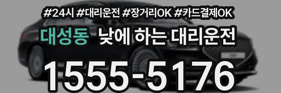 대성동 낮에 하는 대리운전