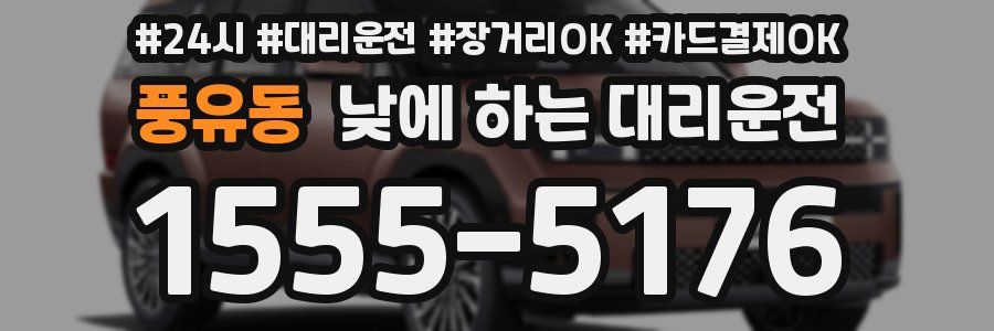 풍유동 낮에 하는 대리운전
