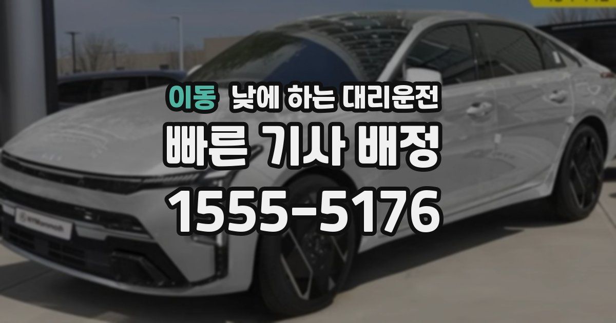 이동 낮에 하는 대리운전