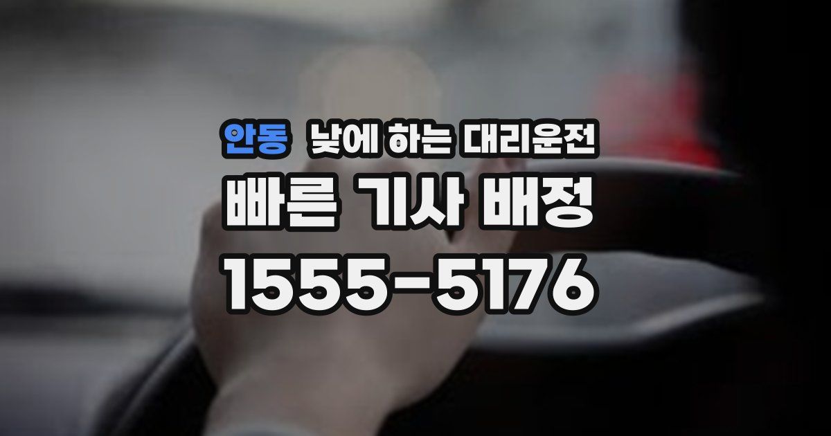 안동 낮에 하는 대리운전