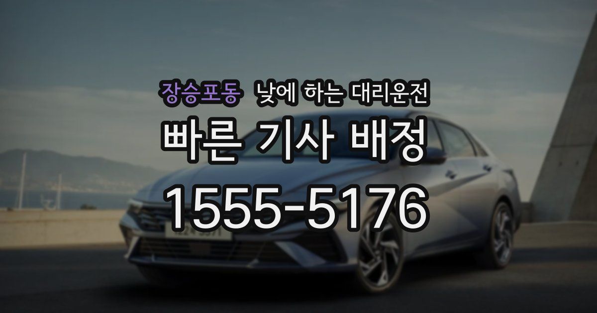 장승포동 낮에 하는 대리운전