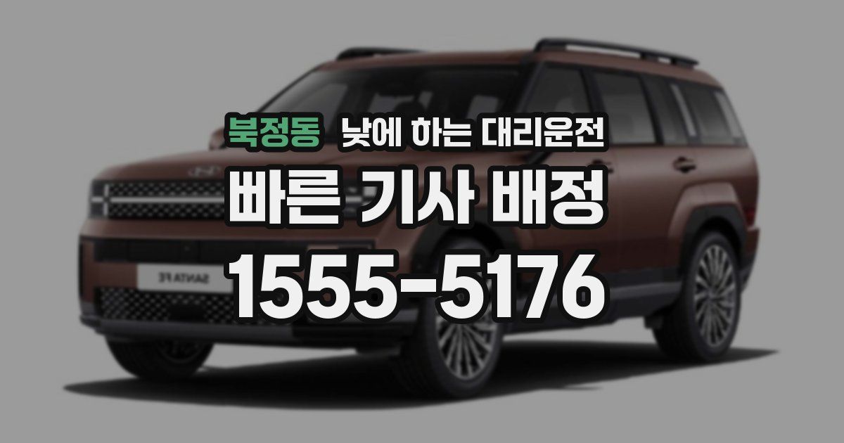 북정동 낮에 하는 대리운전