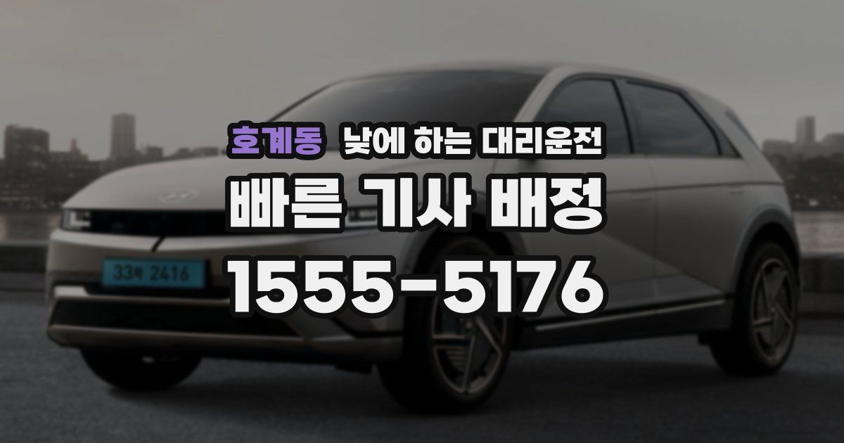 호계동 낮에 하는 대리운전