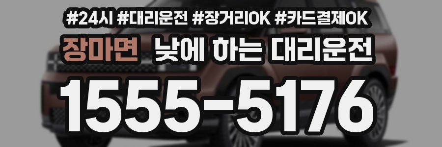 장마면 낮에 하는 대리운전