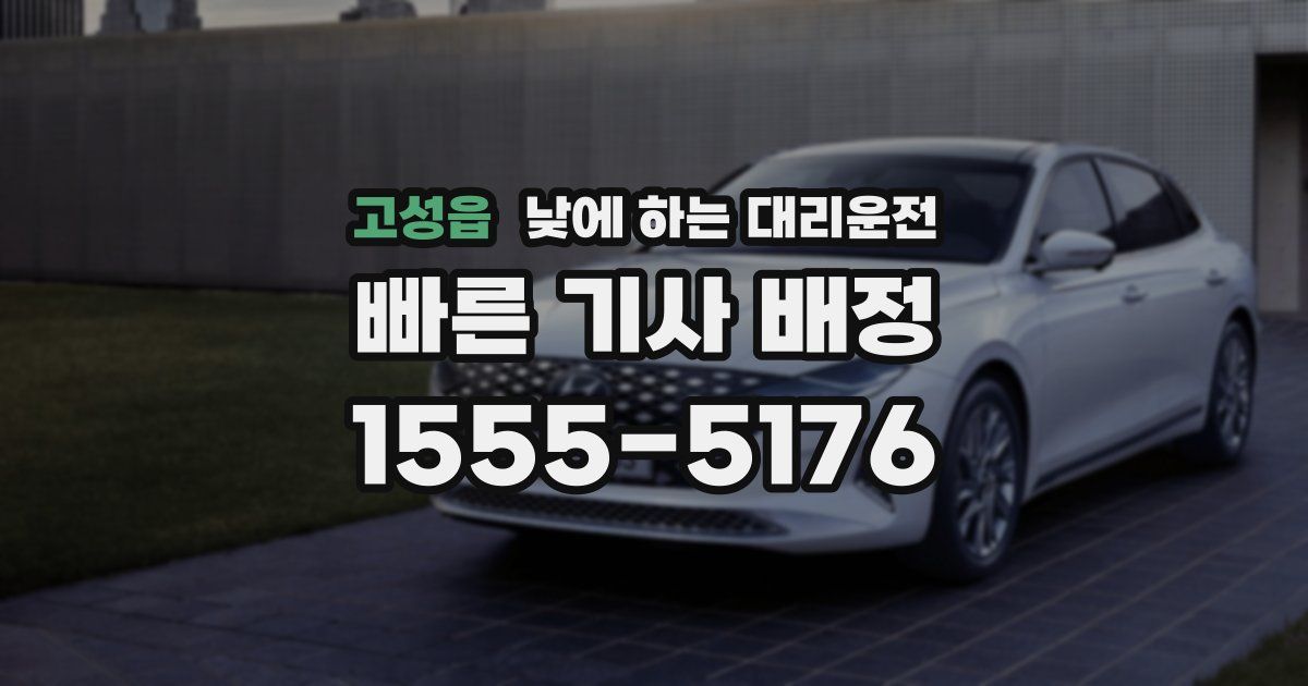 고성읍 낮에 하는 대리운전
