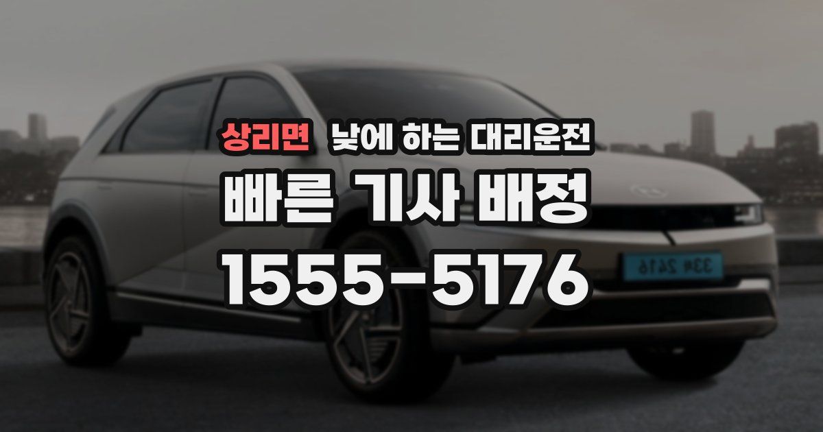 상리면 낮에 하는 대리운전