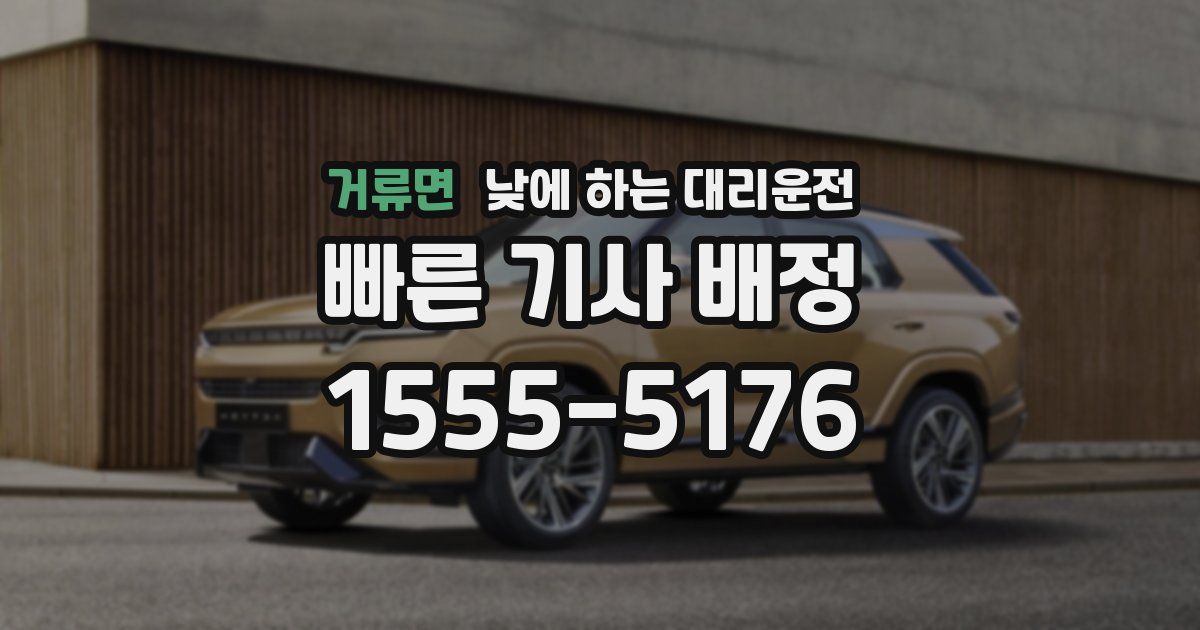거류면 낮에 하는 대리운전