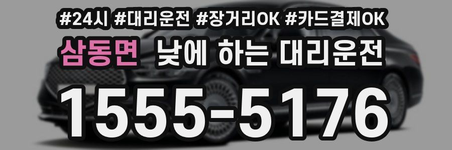삼동면 낮에 하는 대리운전