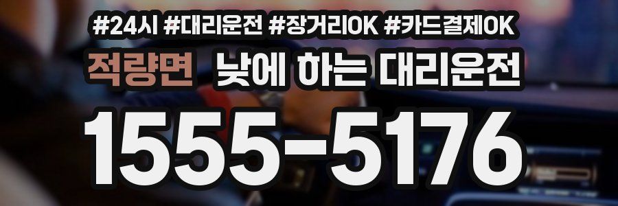 적량면 낮에 하는 대리운전
