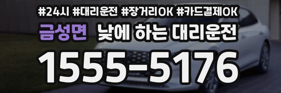 금성면 낮에 하는 대리운전
