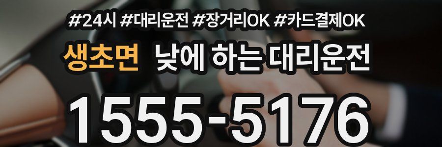 생초면 낮에 하는 대리운전