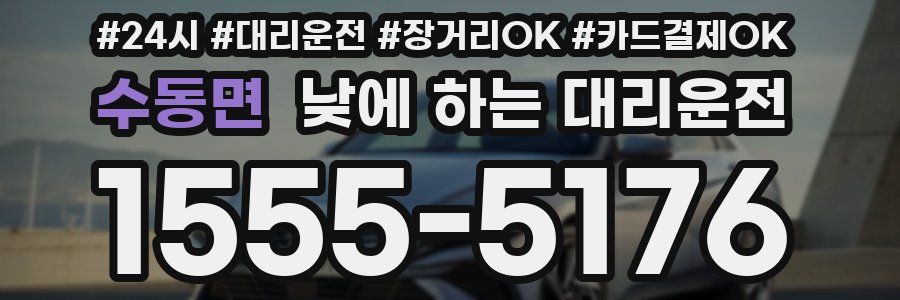 수동면 낮에 하는 대리운전