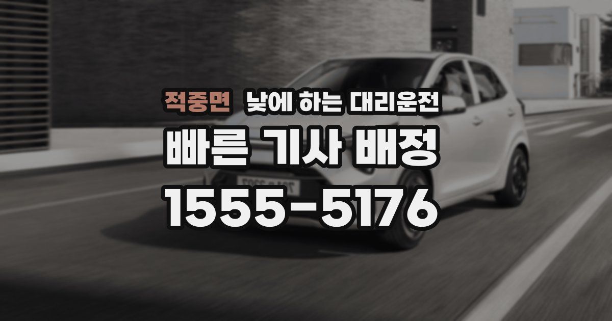 적중면 낮에 하는 대리운전