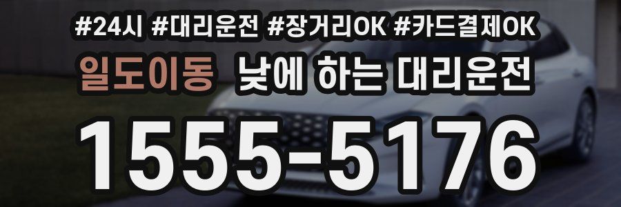 일도이동 낮에 하는 대리운전