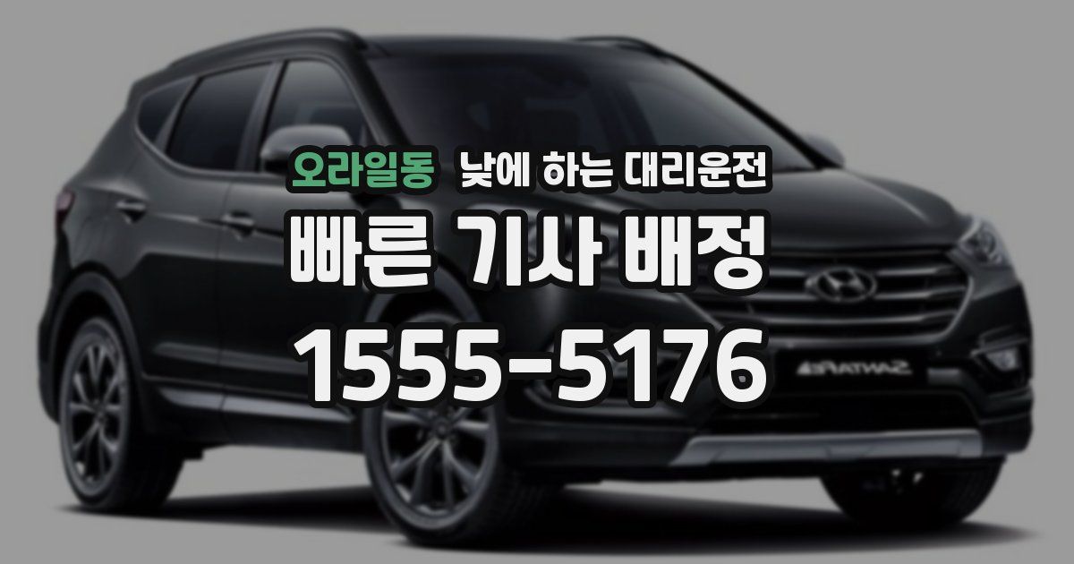 오라일동 낮에 하는 대리운전