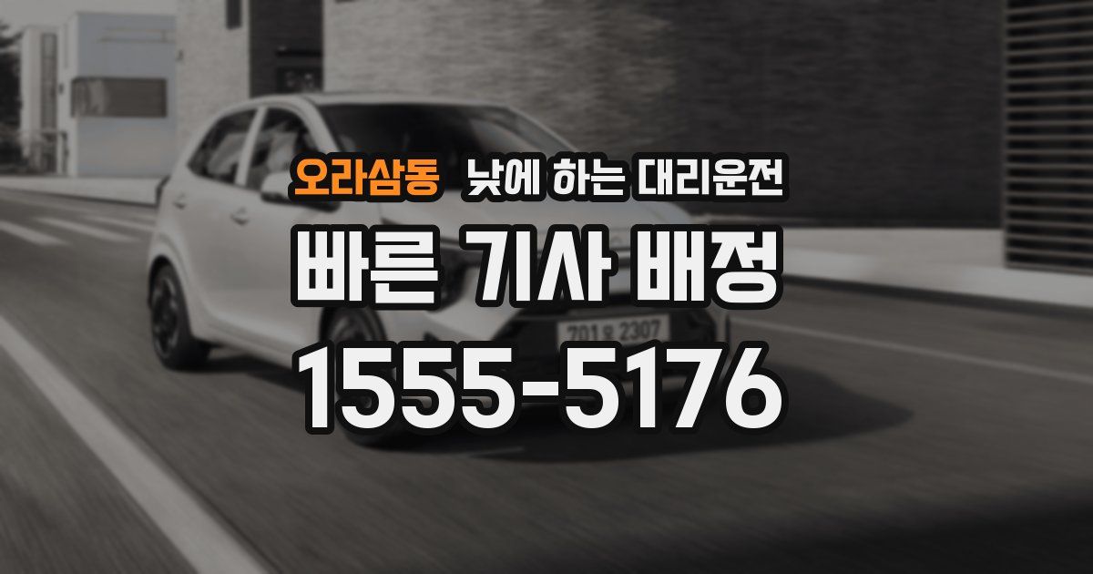 오라삼동 낮에 하는 대리운전