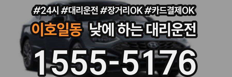 이호일동 낮에 하는 대리운전