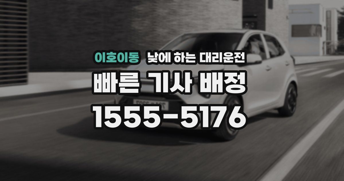 이호이동 낮에 하는 대리운전