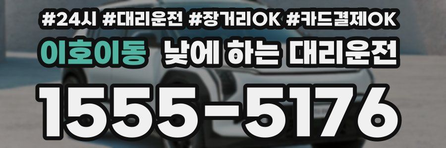 이호이동 낮에 하는 대리운전