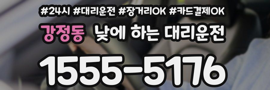강정동 낮에 하는 대리운전