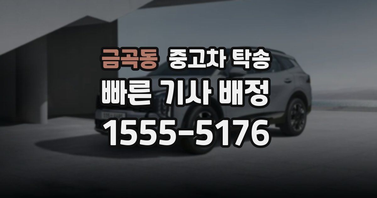 금곡동 중고차 탁송