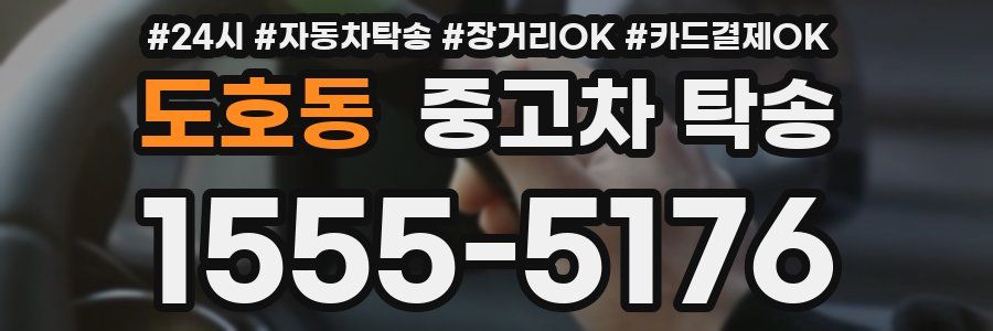 도호동 중고차 탁송