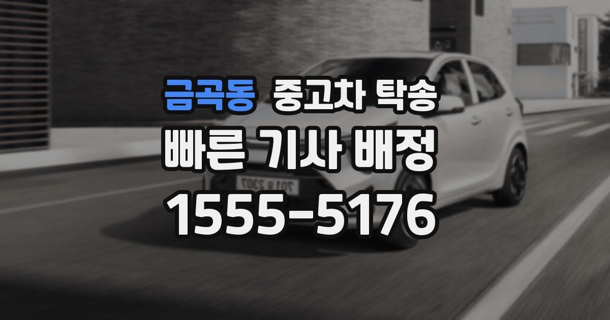 금곡동 중고차 탁송