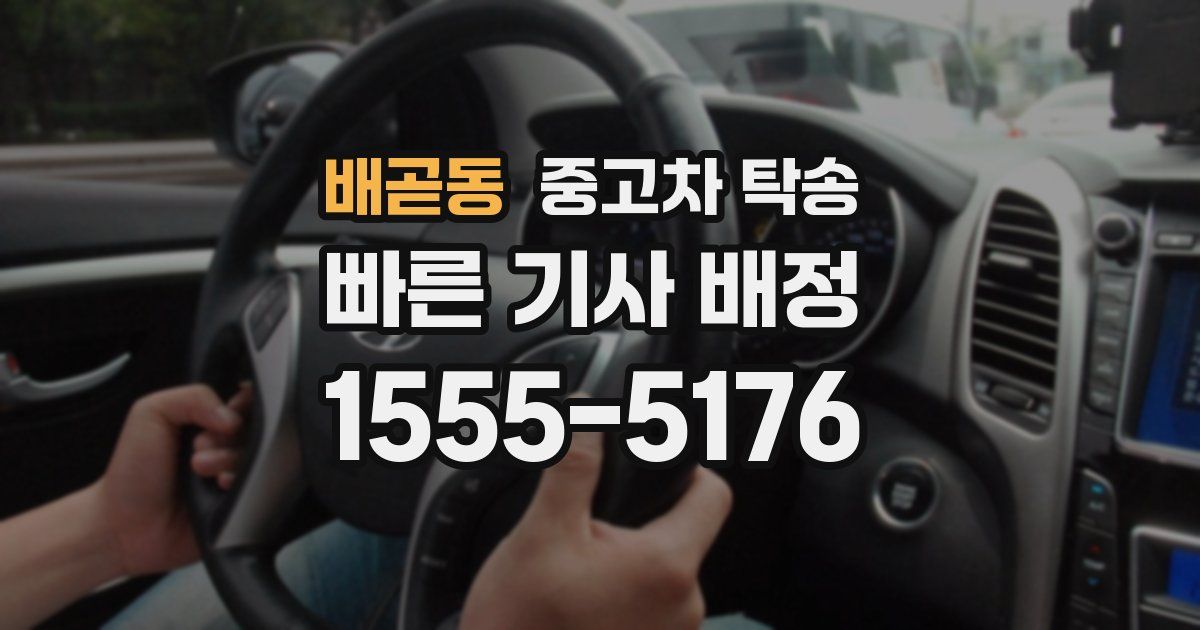 배곧동 중고차 탁송
