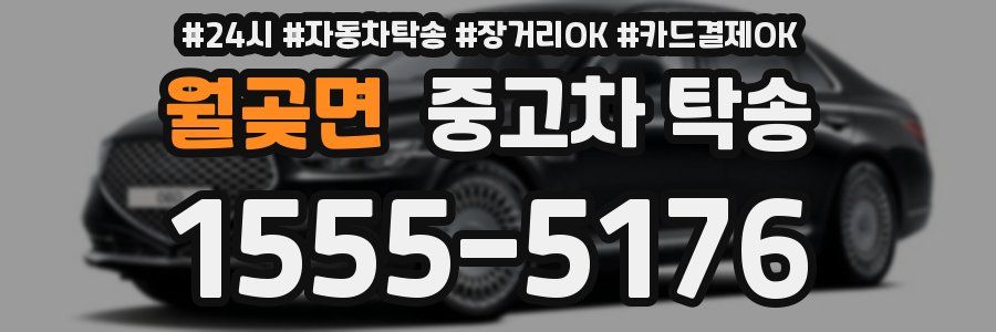 월곶면 중고차 탁송