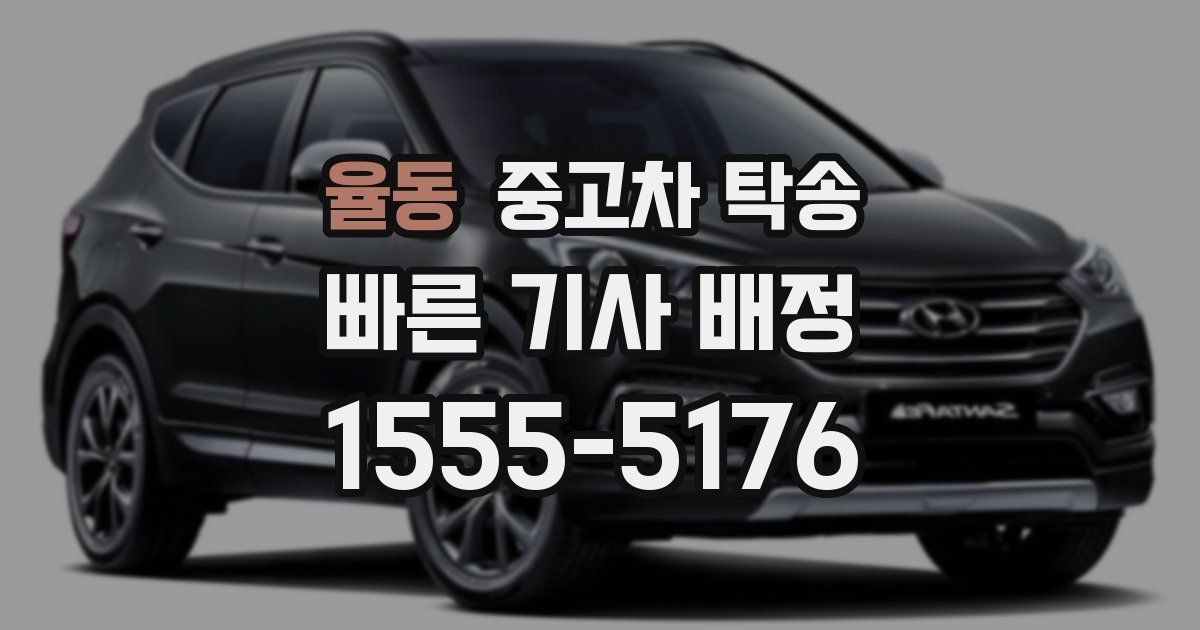 율동 중고차 탁송