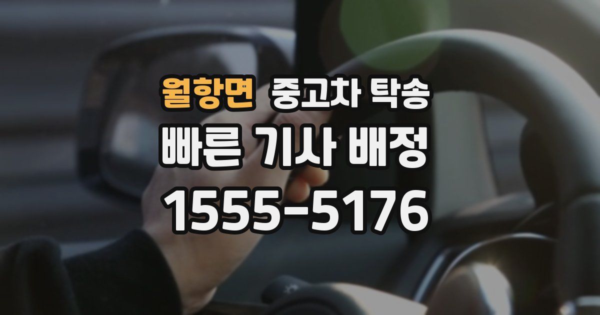 월항면 중고차 탁송
