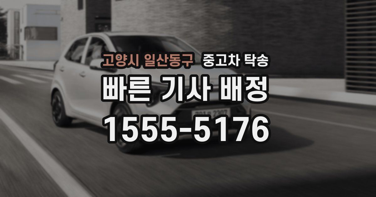 고양시 일산동구 중고차 탁송