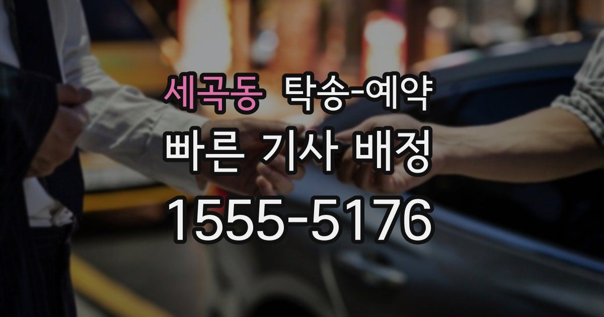 세곡동 탁송 예약
