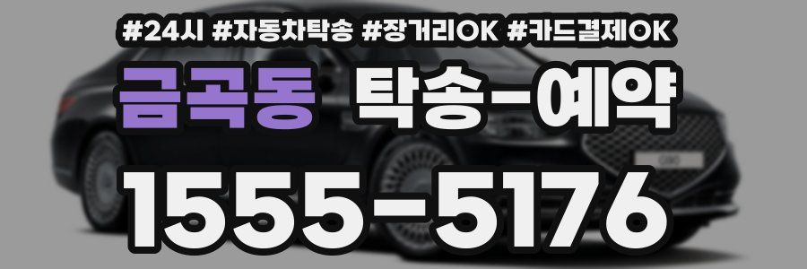 금곡동 탁송 예약