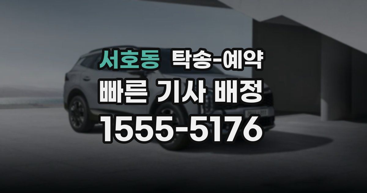 서호동 탁송 예약