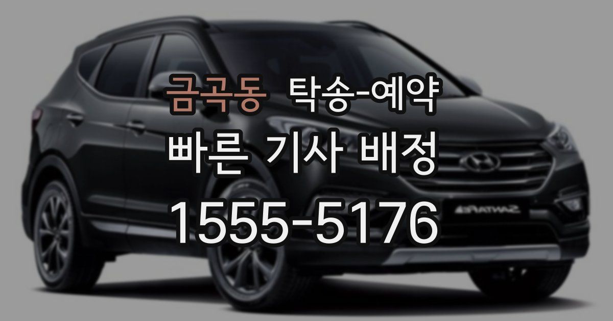 금곡동 탁송 예약