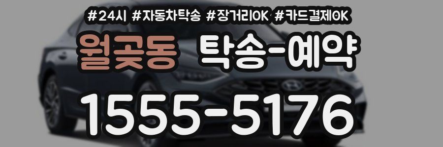 월곶동 탁송 예약