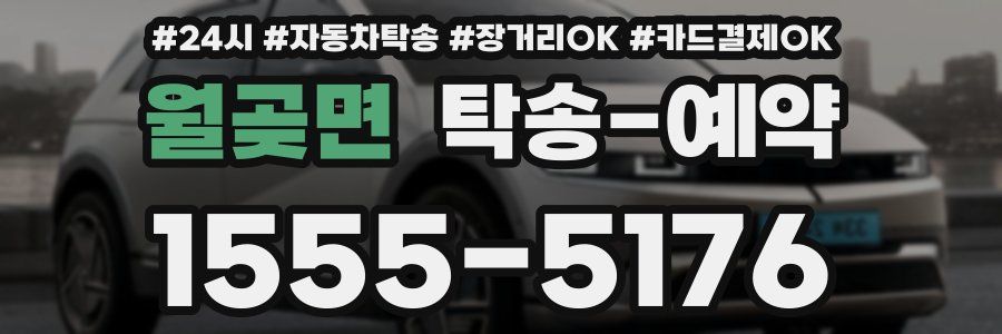 월곶면 탁송 예약