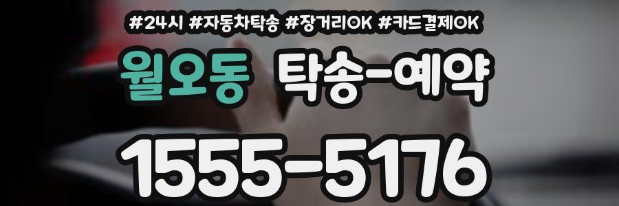 월오동 탁송 예약