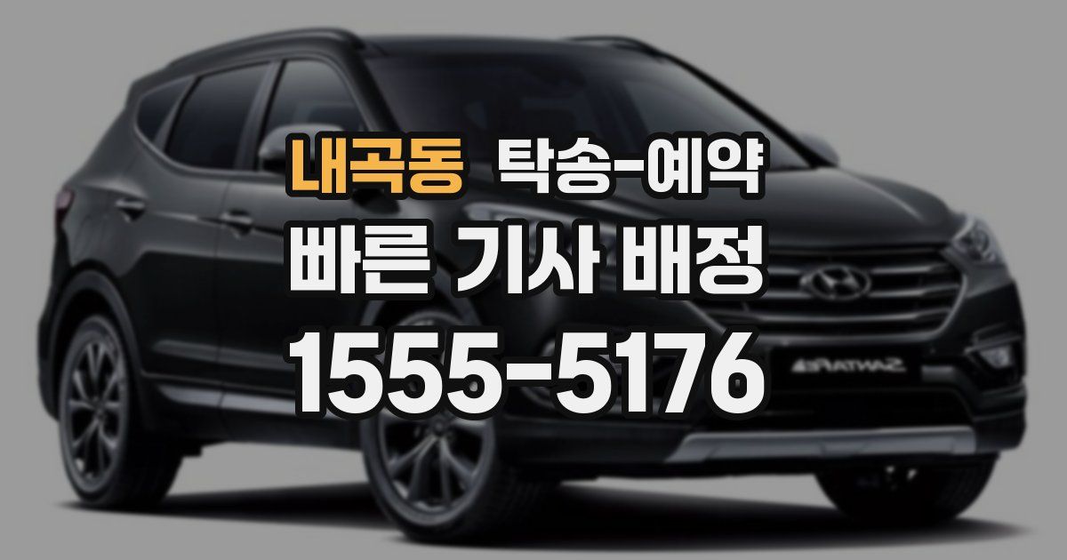 내곡동 탁송 예약