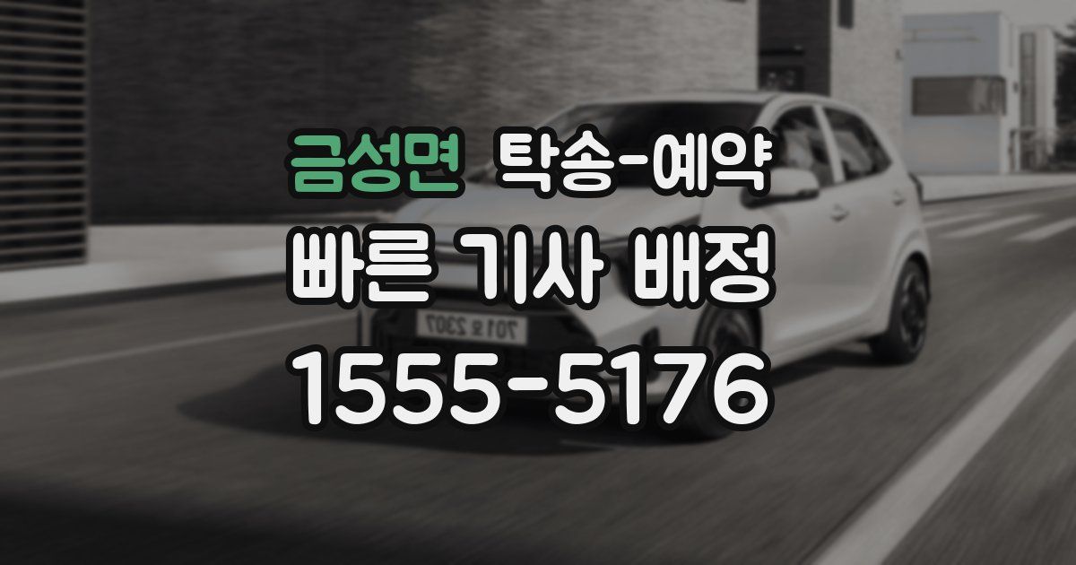 금성면 탁송 예약