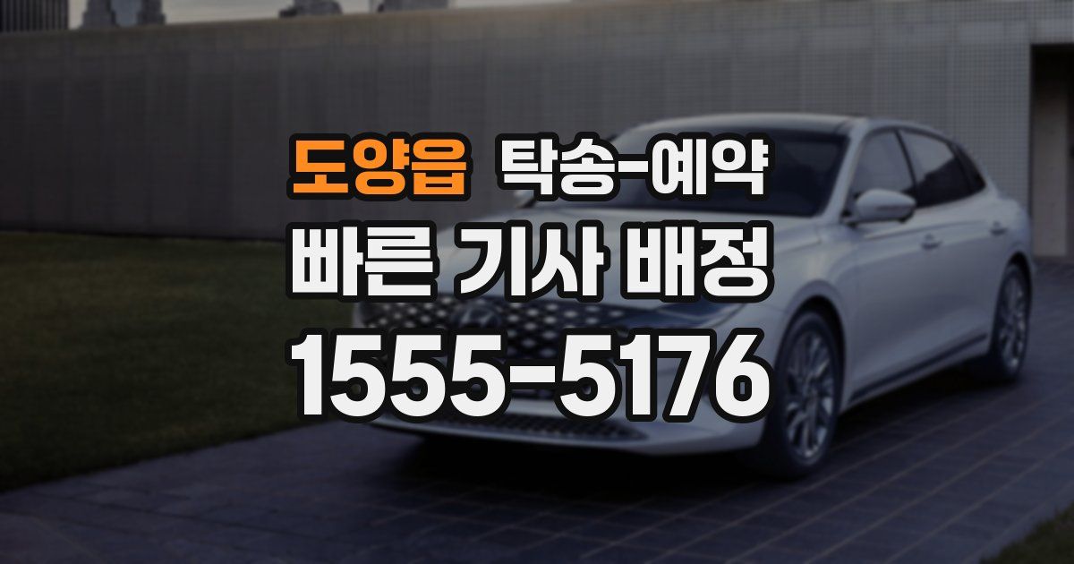 도양읍 탁송 예약