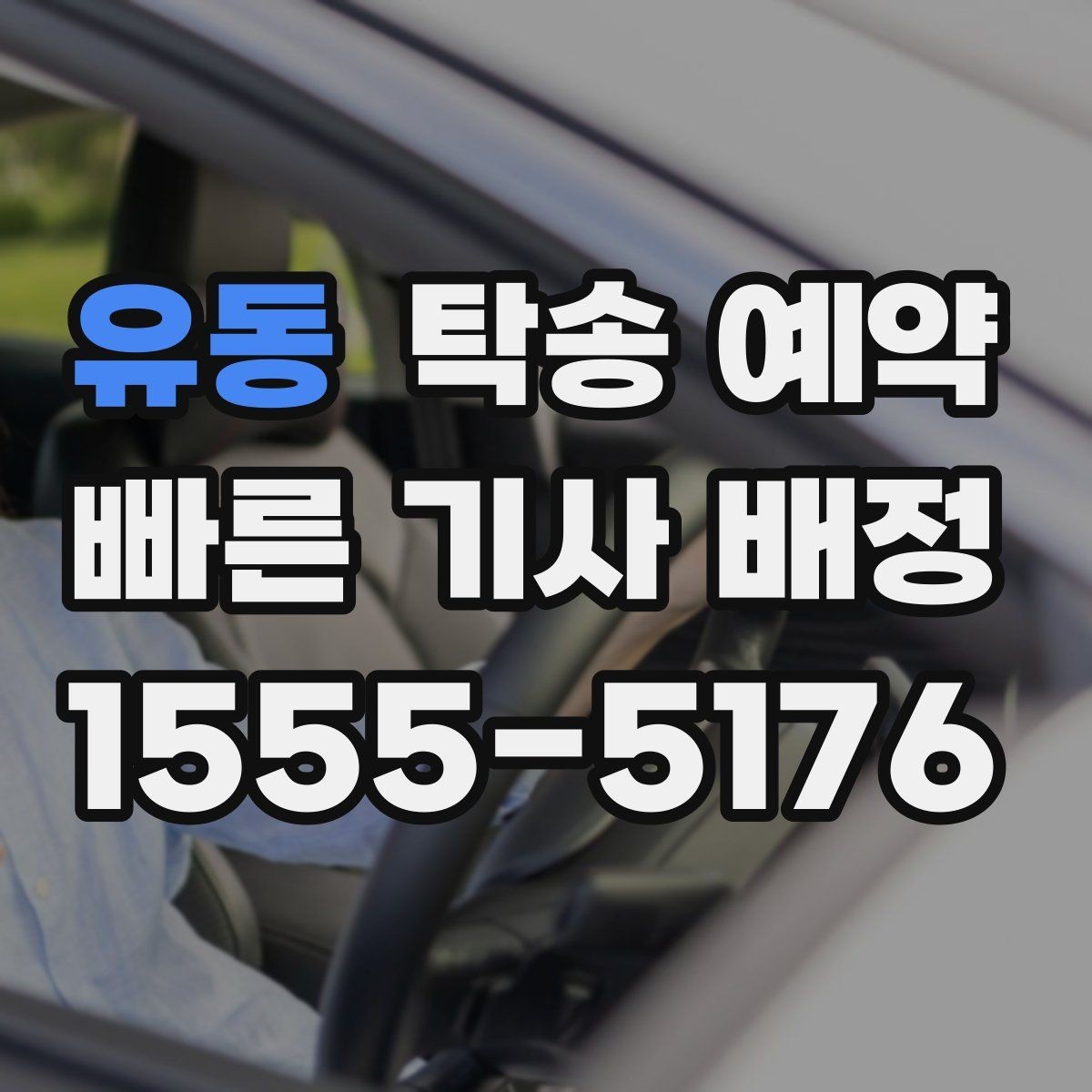 유동 탁송 예약 시 비용 외에 함께 봐야 할 요소
